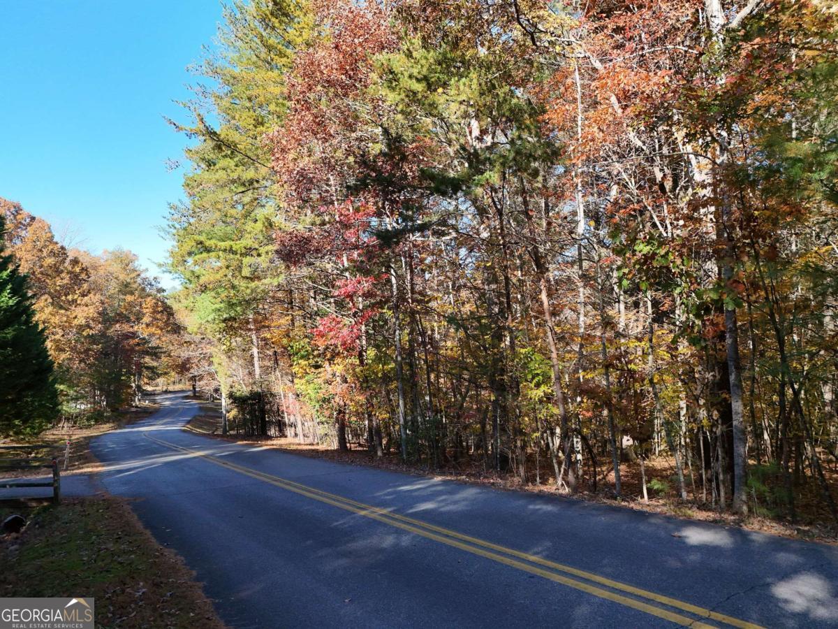 Lot 4 Lance Crossing Road Blairsville, GA 30512 - Photo 2 of 11