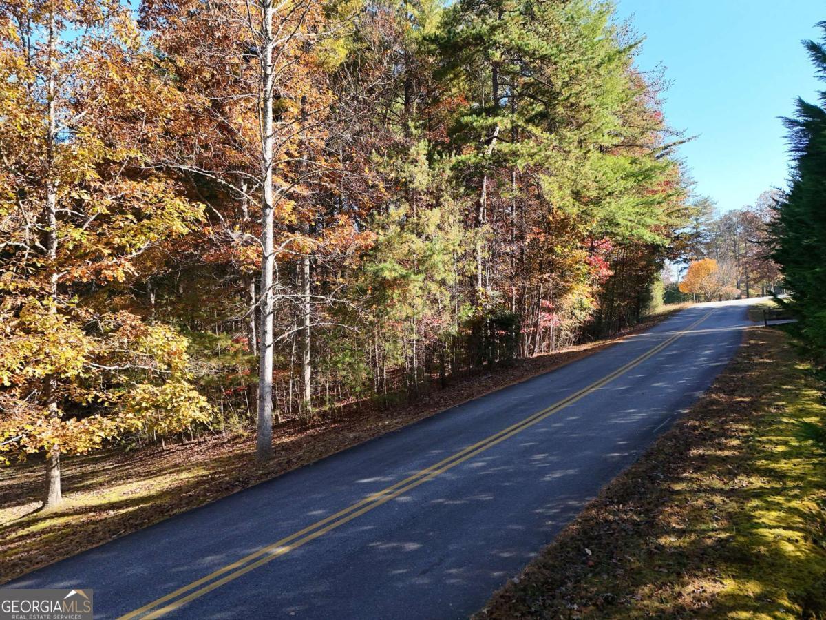 Lot 4 Lance Crossing Road Blairsville, GA 30512 - Photo 4 of 11