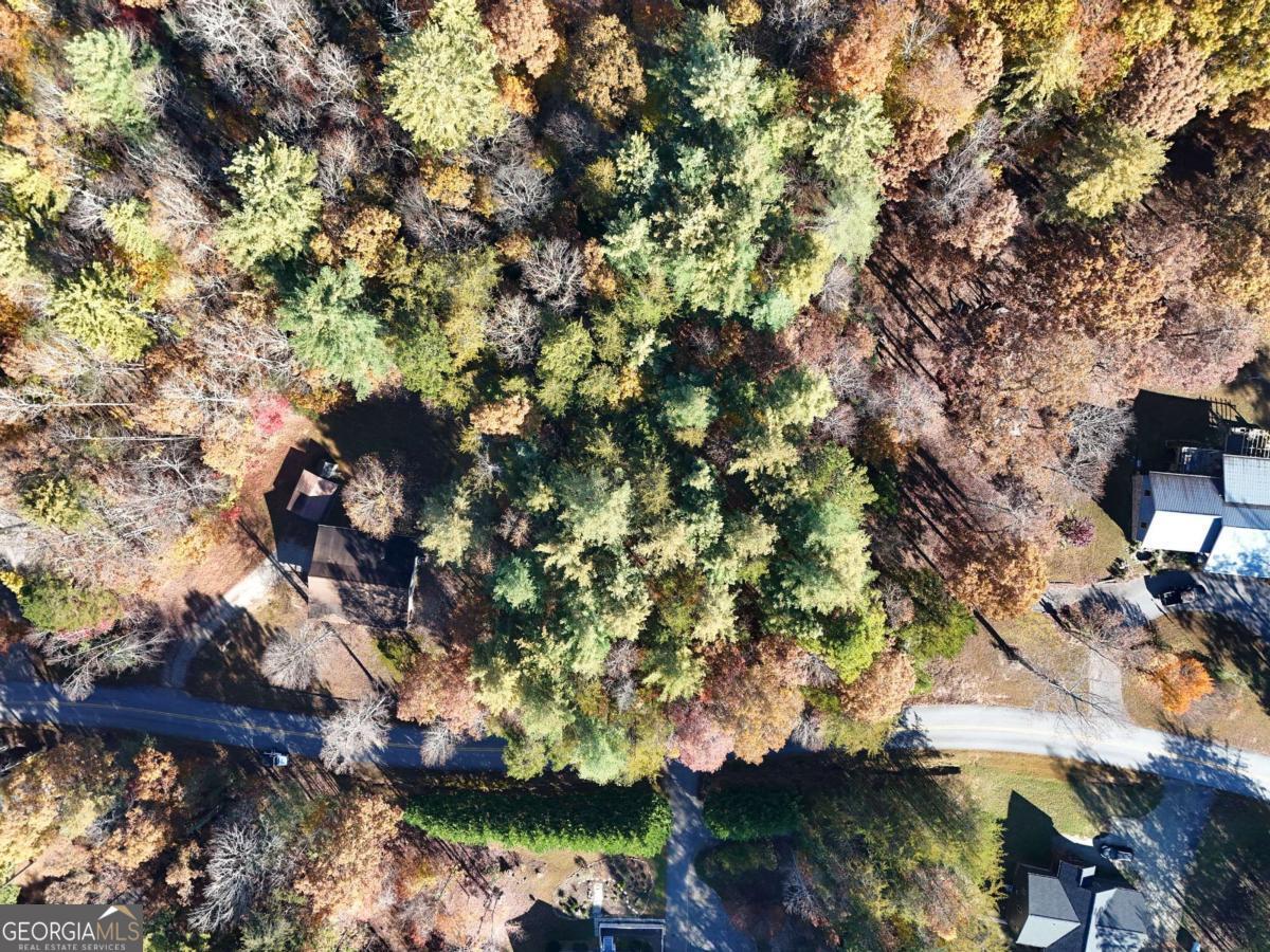 Lot 4 Lance Crossing Road Blairsville, GA 30512 - Photo 5 of 11