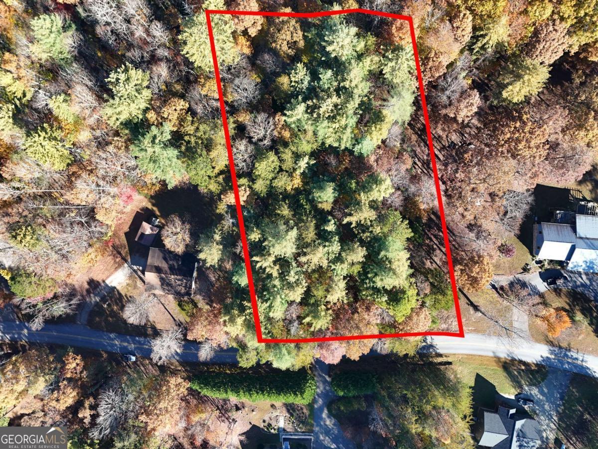 Lot 4 Lance Crossing Road Blairsville, GA 30512 - Photo 6 of 11