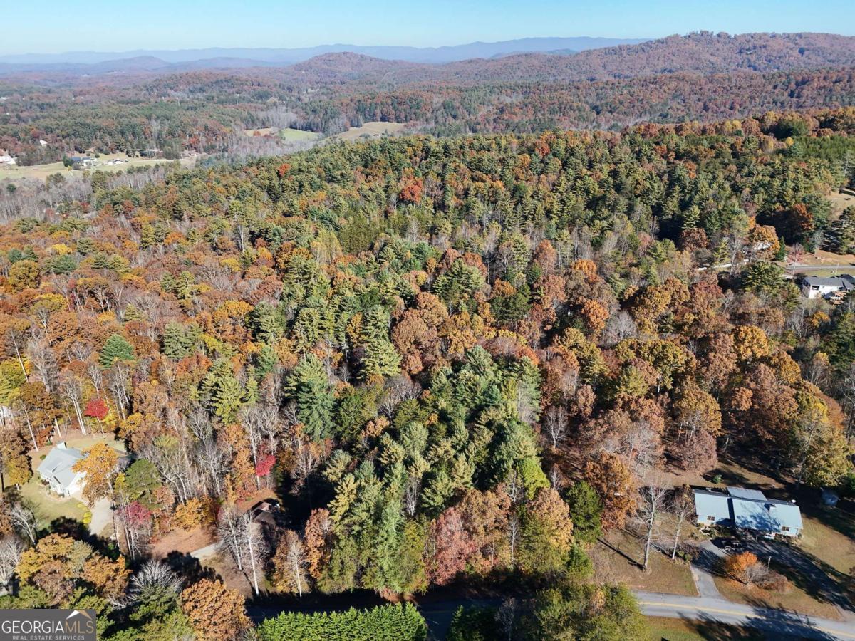 Lot 4 Lance Crossing Road Blairsville, GA 30512 - Photo 7 of 11