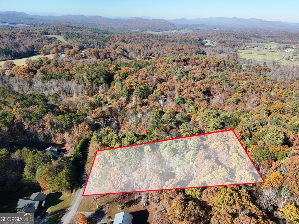 Lot 4 Lance Crossing Road Blairsville, GA 30512 - Photo 9 of 11
