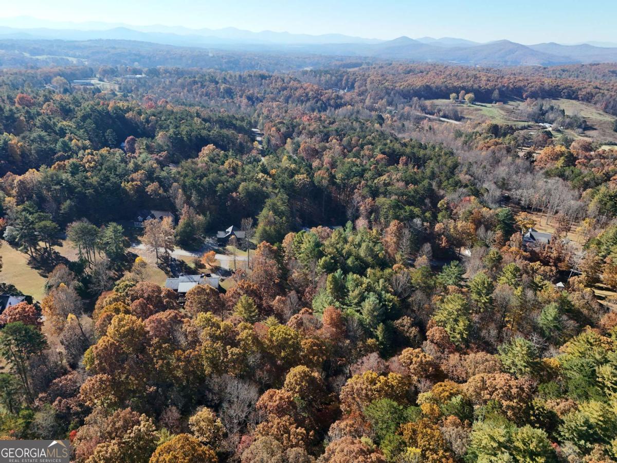 Lot 4 Lance Crossing Road Blairsville, GA 30512 - Photo 10 of 11