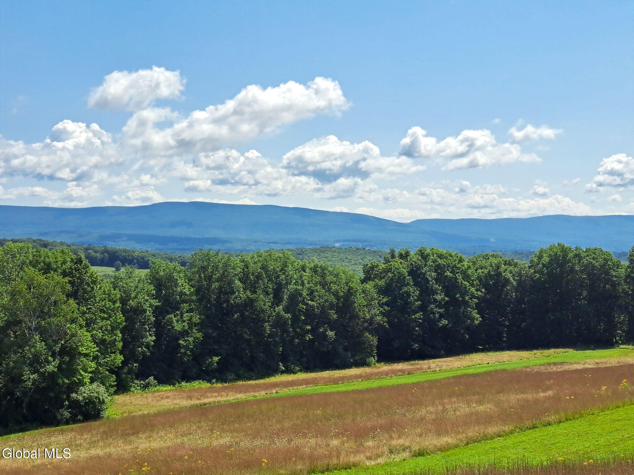 9.1 State Line Road White Creek, NY 12057 - Photo 4 of 72 05 Green Mtn View