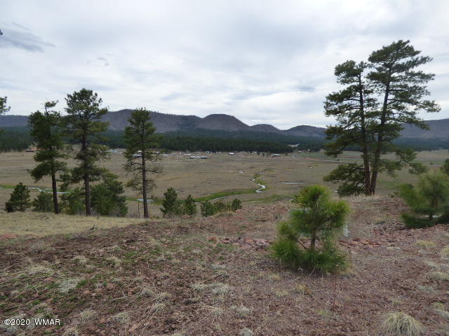 Lot 11 The Ranch Alpine, AZ 85920 - Photo 4 of 26