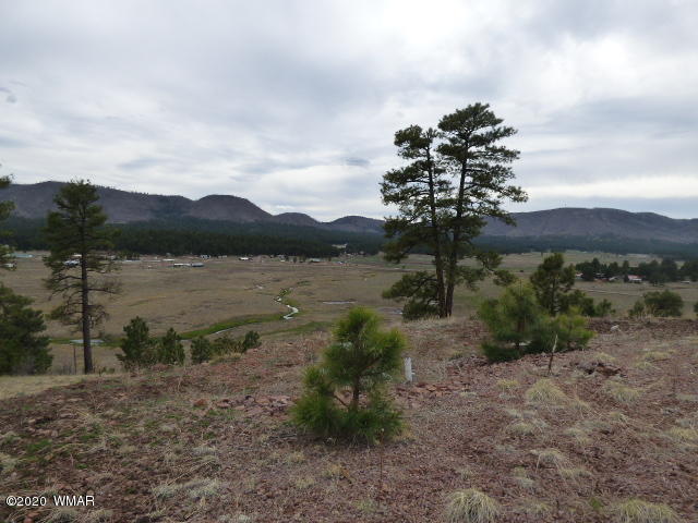 Lot 11 The Ranch Alpine, AZ 85920 - Photo 5 of 26