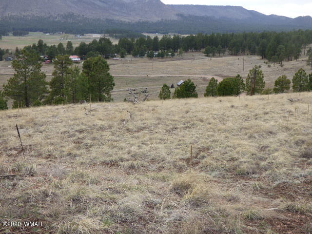 Lot 11 The Ranch Alpine, AZ 85920 - Photo 6 of 26