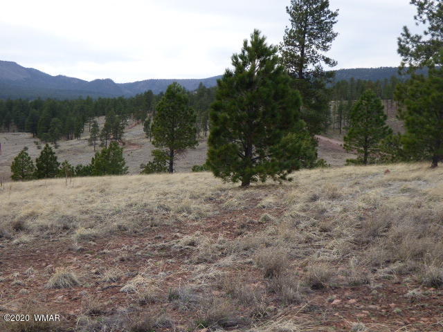 Lot 11 The Ranch Alpine, AZ 85920 - Photo 7 of 26