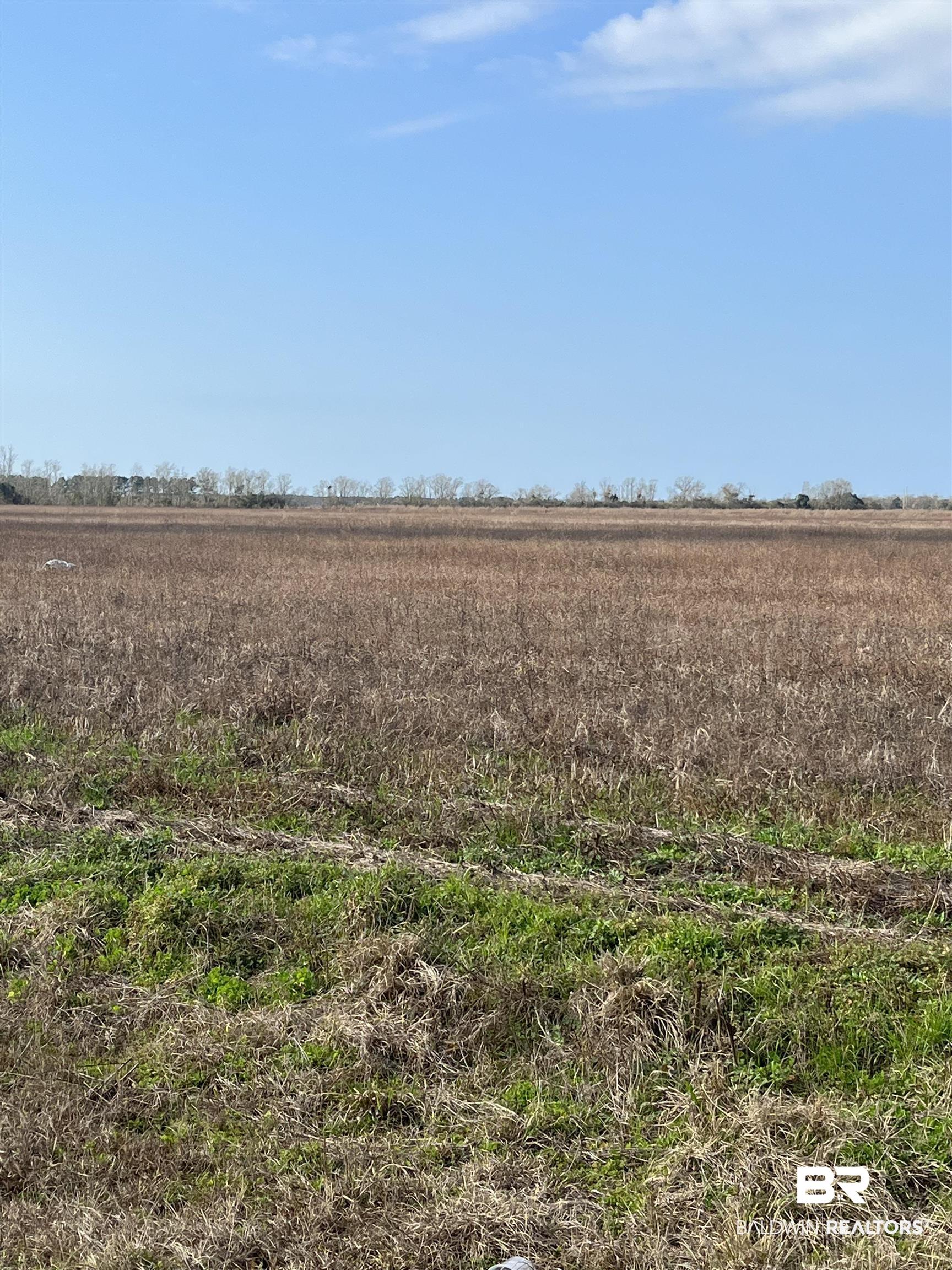 Lot 11 Hamilton Boulevard Foley, AL 36535 - Photo 1 of 3