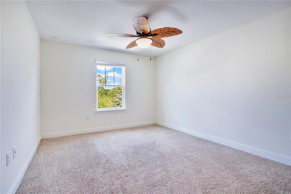 9009 Palm Key Avenue Oldsmar, FL 34677 - Photo 42 of 58