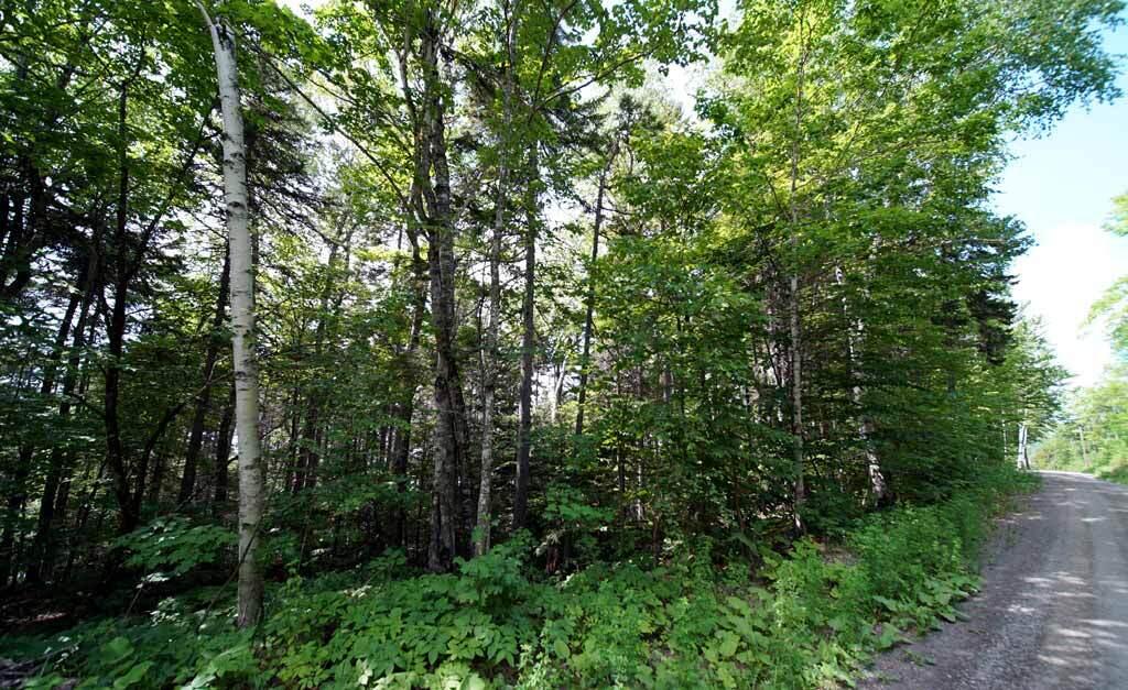 150 South Shore Road Linneus, ME 04730 - Photo 15 of 35 150-south-shore-rd-land-1