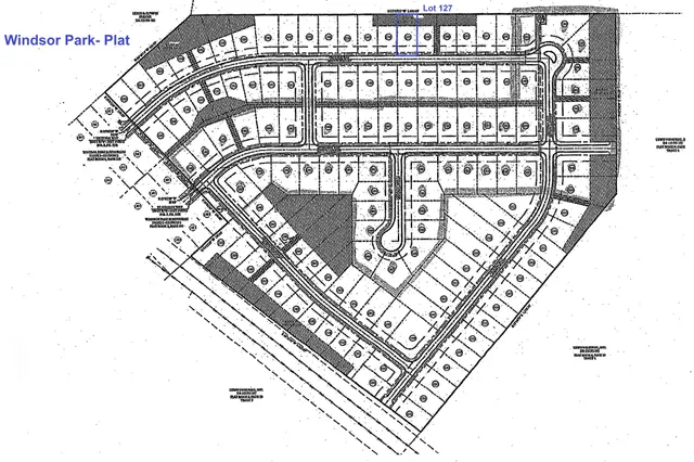 a picture of a black and white photo