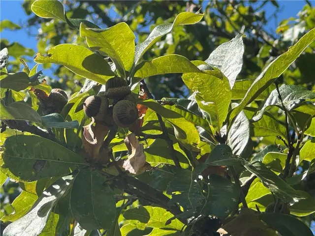 $287,280 | 1 85th Highway, Albany, MO 64402