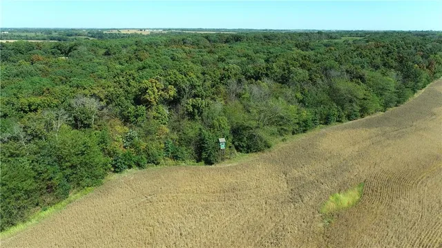 $287,280 | 1 85th Highway, Albany, MO 64402