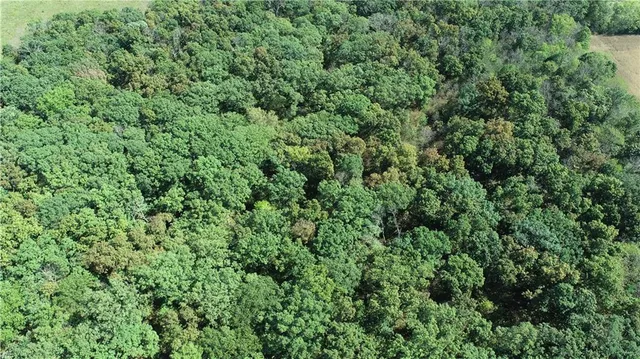 $287,280 | 1 85th Highway, Albany, MO 64402