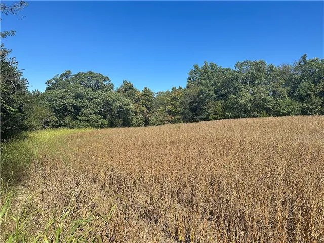 $287,280 | 1 85th Highway, Albany, MO 64402