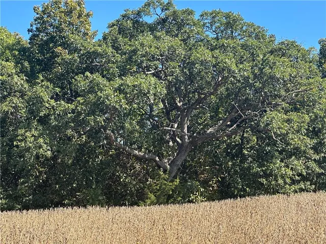 $287,280 | 1 85th Highway, Albany, MO 64402