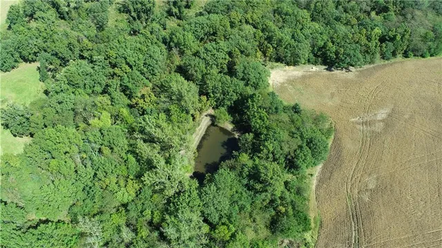 $287,280 | 1 85th Highway, Albany, MO 64402