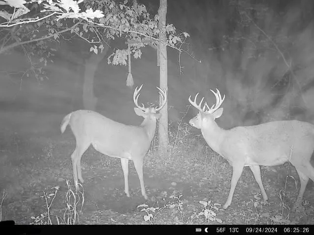 $287,280 | 1 85th Highway, Albany, MO 64402