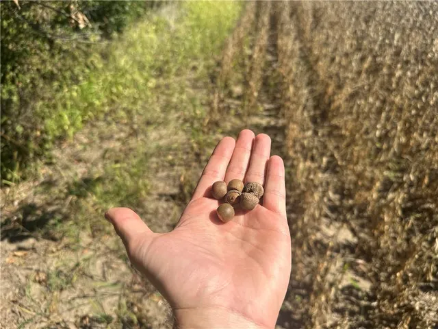 $287,280 | 1 85th Highway, Albany, MO 64402