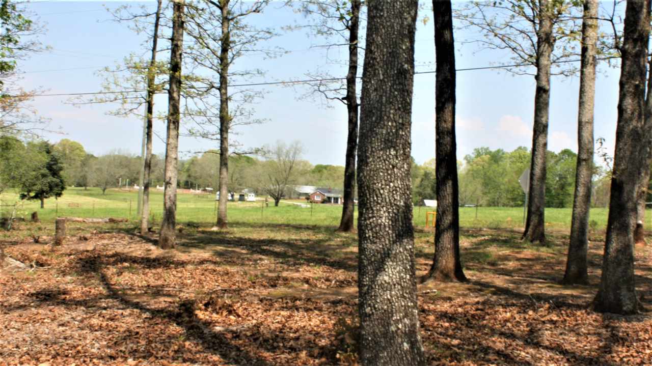 4312 Hopewell Road Williamston, SC 29697 - Photo 8 of 26 Gallery Image 8