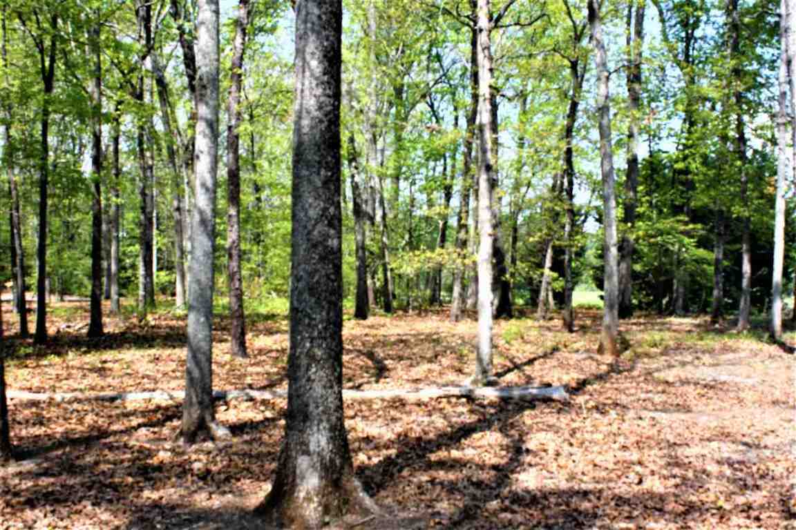 4312 Hopewell Road Williamston, SC 29697 - Photo 9 of 26 Gallery Image 9