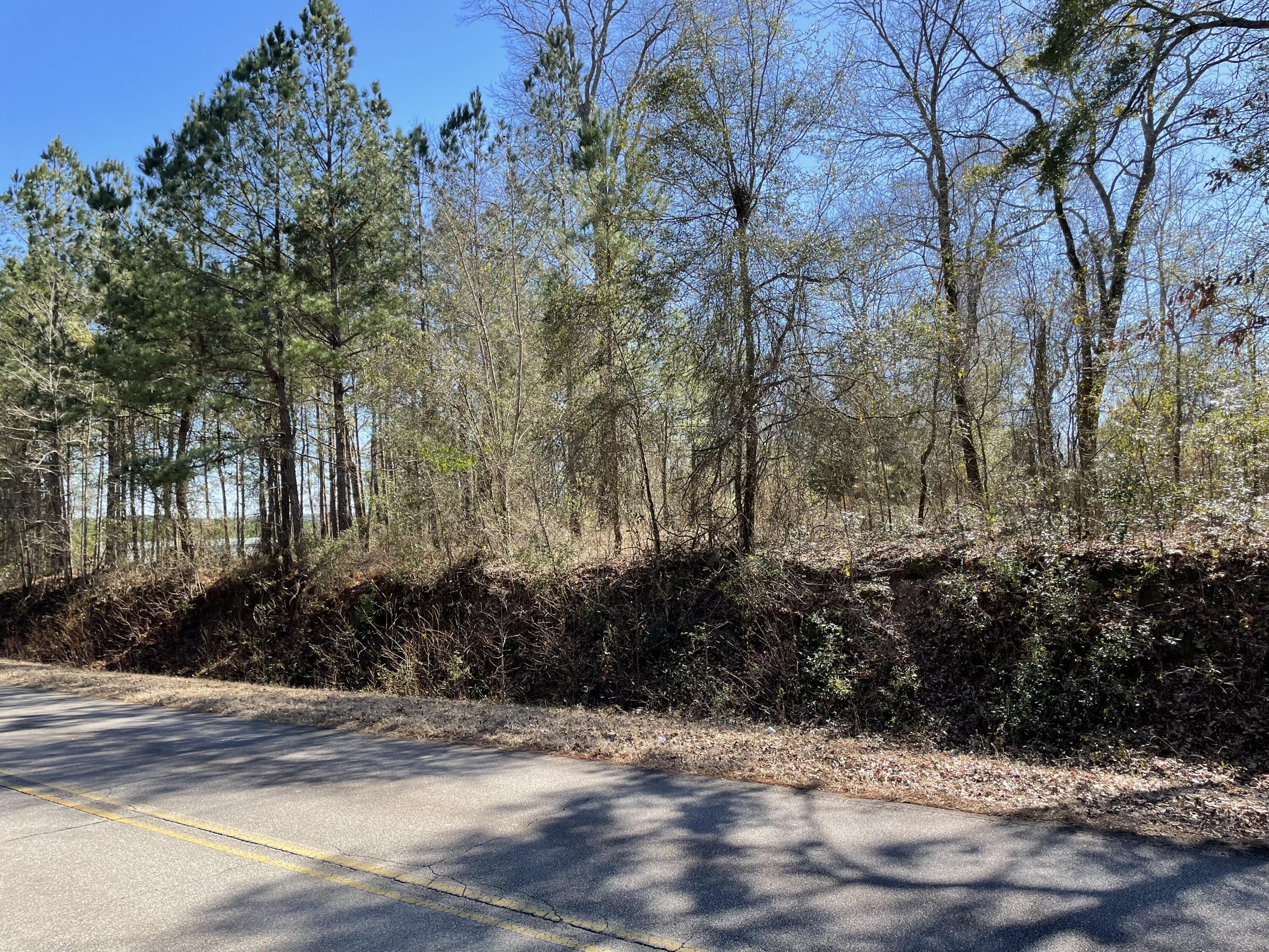 0 Rabun Road Warrenton, GA 30828 - Photo 1 of 2 IMG_2941