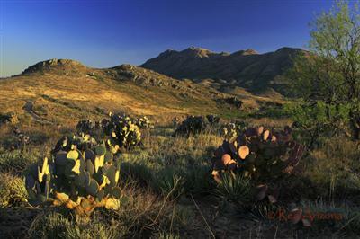 0 Morning Star Drive Rio Rico, AZ 85648 - Photo 9 of 9