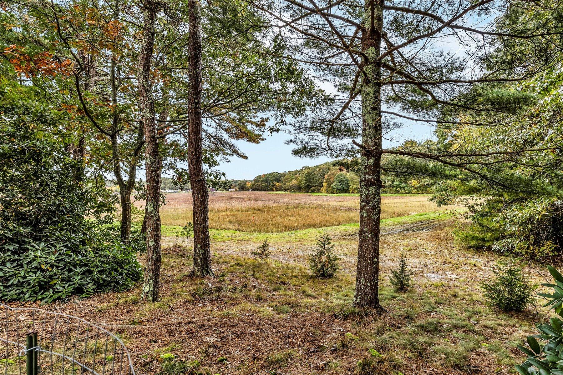 1007 River Road Marstons Mills, MA 02648 - Photo 5 of 33