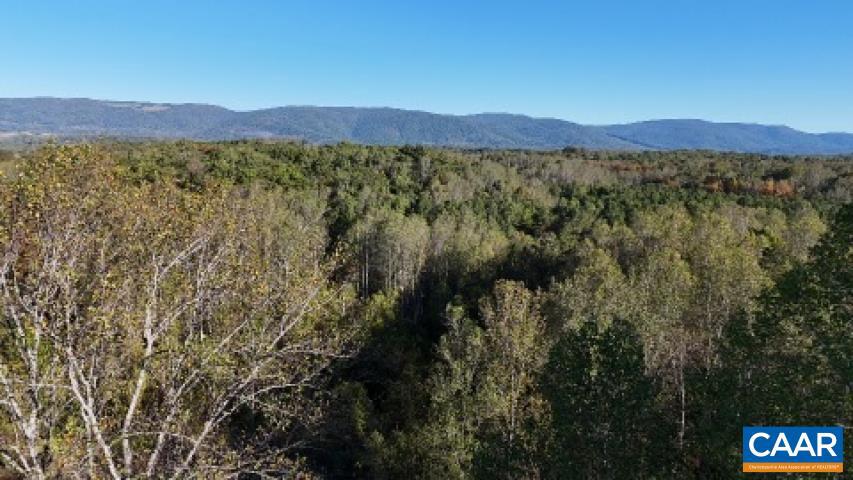 Tbd Batesville Road, Unit 2 Afton, VA 22920 - Photo 27 of 28 a view of a forest with mountains in the background