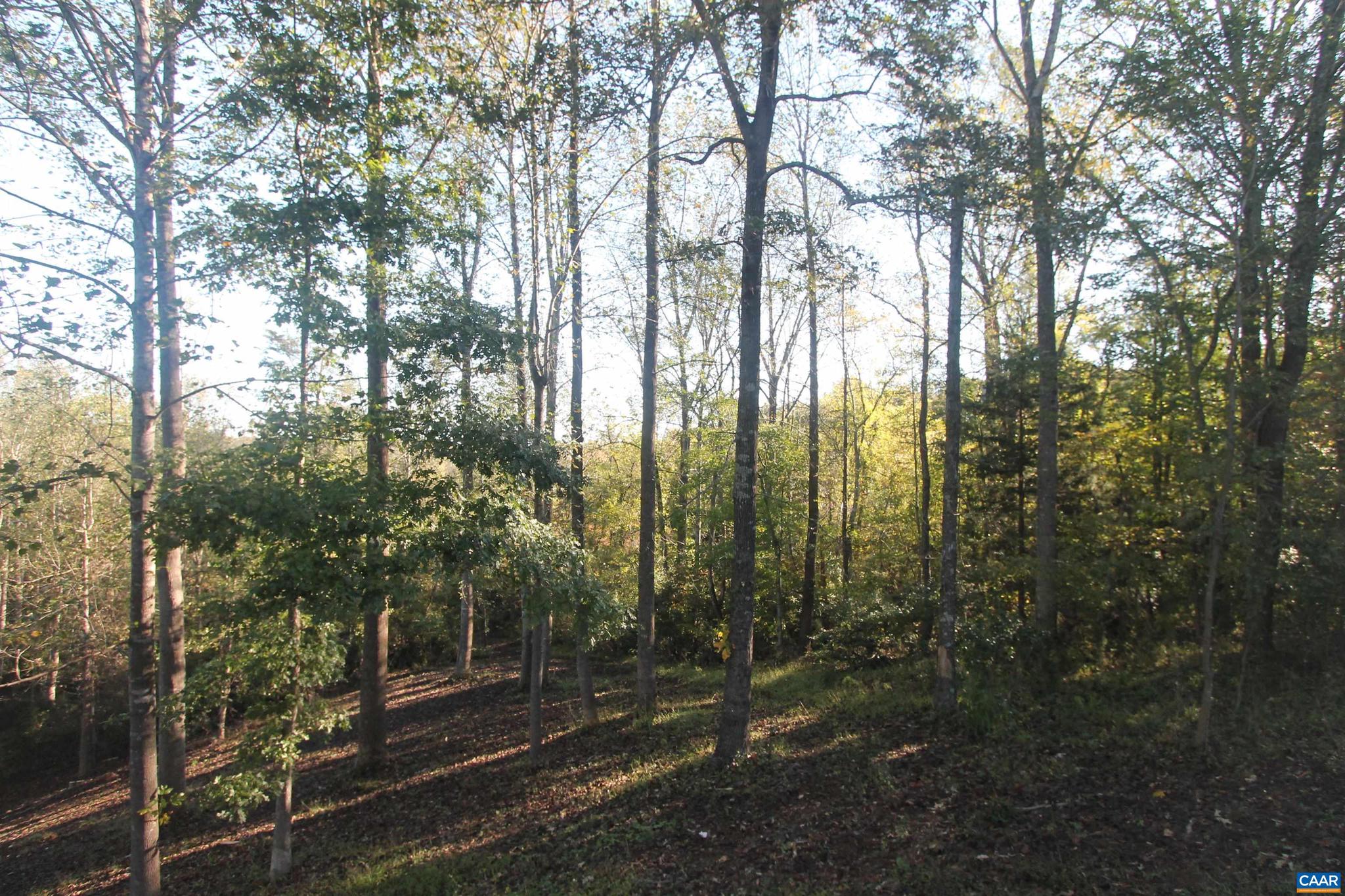 Tbd Batesville Road, Unit 2 Afton, VA 22920 - Photo 3 of 28