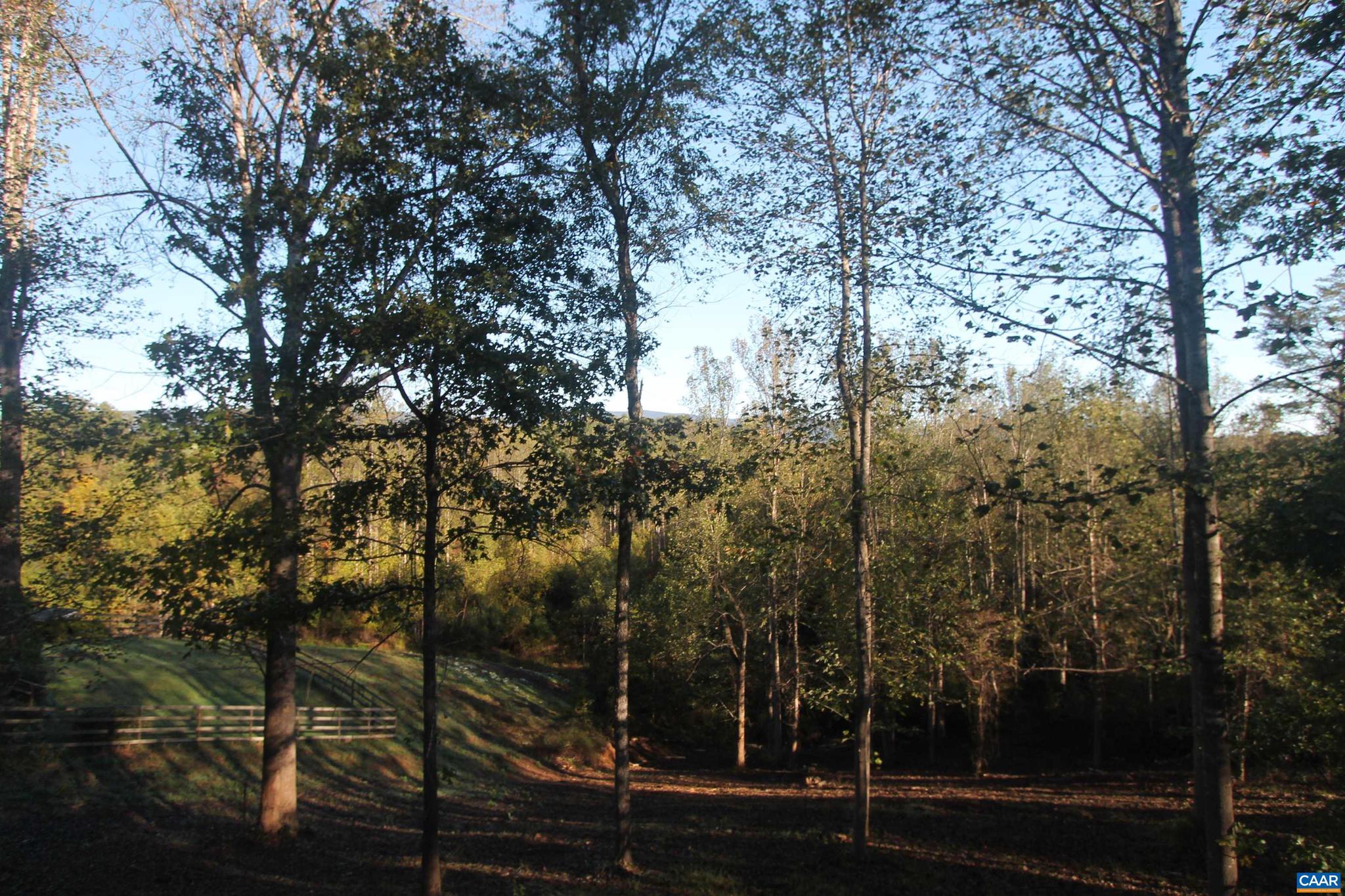 Tbd Batesville Road, Unit 2 Afton, VA 22920 - Photo 8 of 28