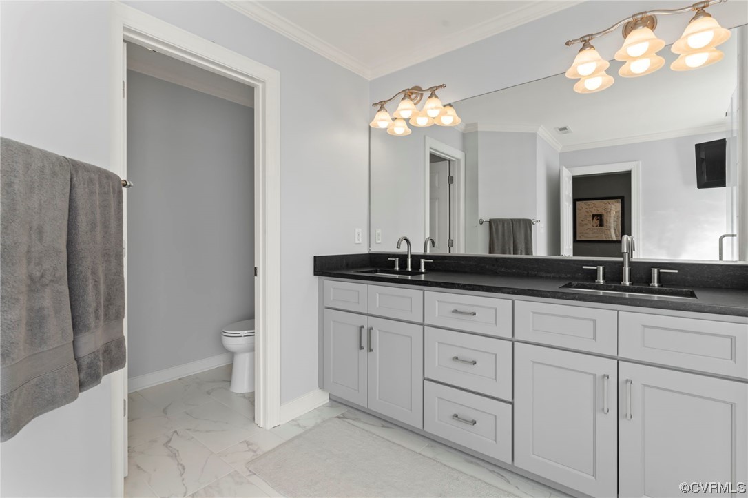 13206 Tipple Point Road Midlothian, VA 23114 - Photo 21 of 50 a bathroom with a granite countertop sink a toilet and a mirror