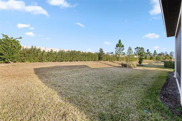 a view of dirt field with trees in background