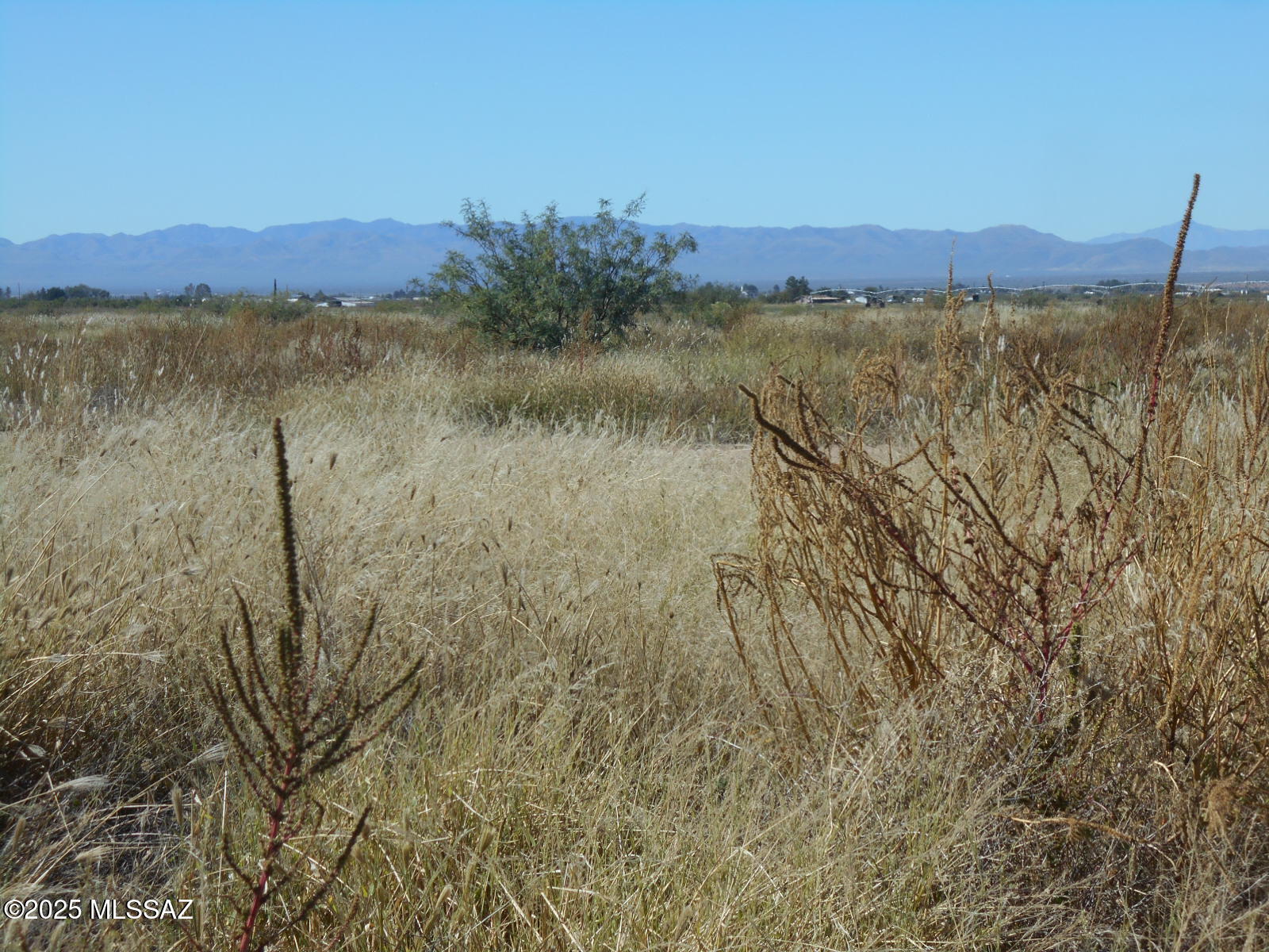 10747 North Bell Road Elfrida, AZ 85610 - Photo 29 of 41