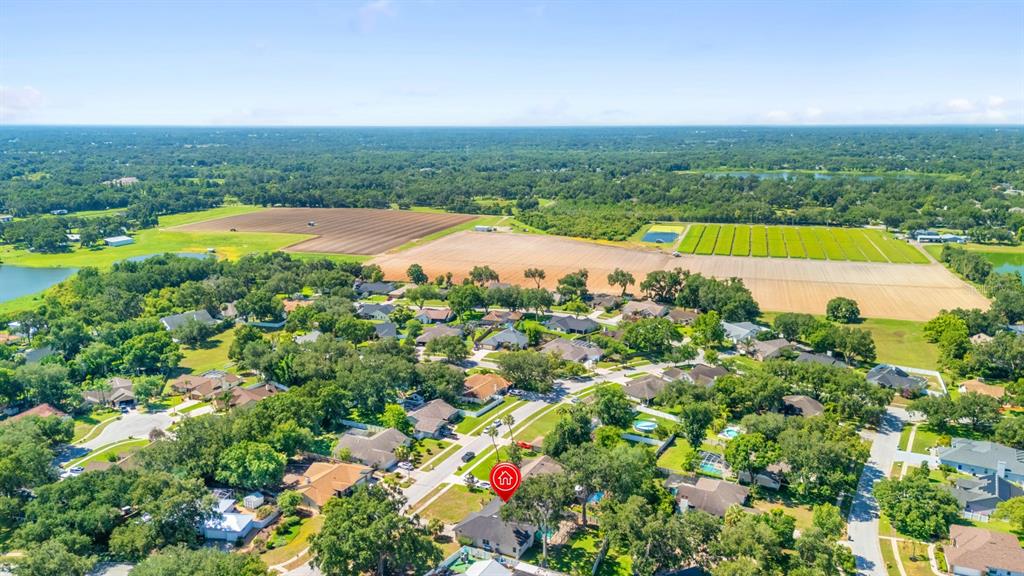 512 Caulder Park Road Seffner, FL 33584 - Photo 52 of 53