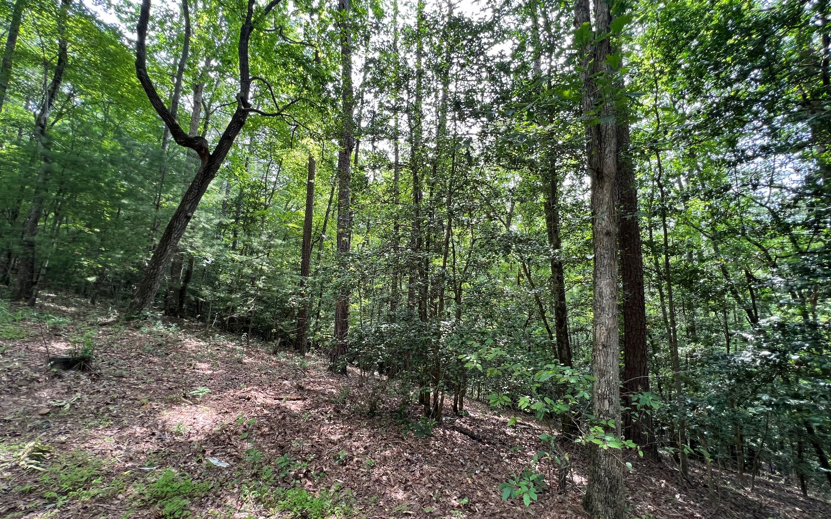 557 Chestnut Gap Road Blue Ridge, GA 30513 - Photo 11 of 37 Additional View
