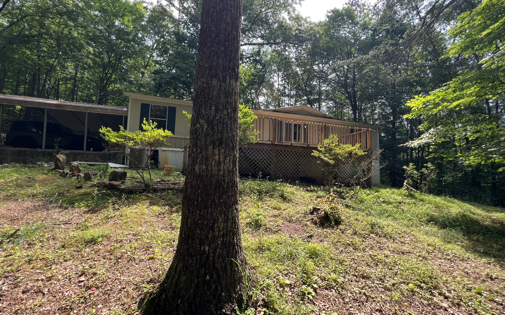 557 Chestnut Gap Road Blue Ridge, GA 30513 - Photo 3 of 37 Additional View