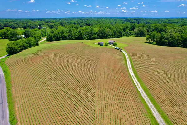 $325,000 | 8 Lambs Ferry Road, Leoma, TN 38468