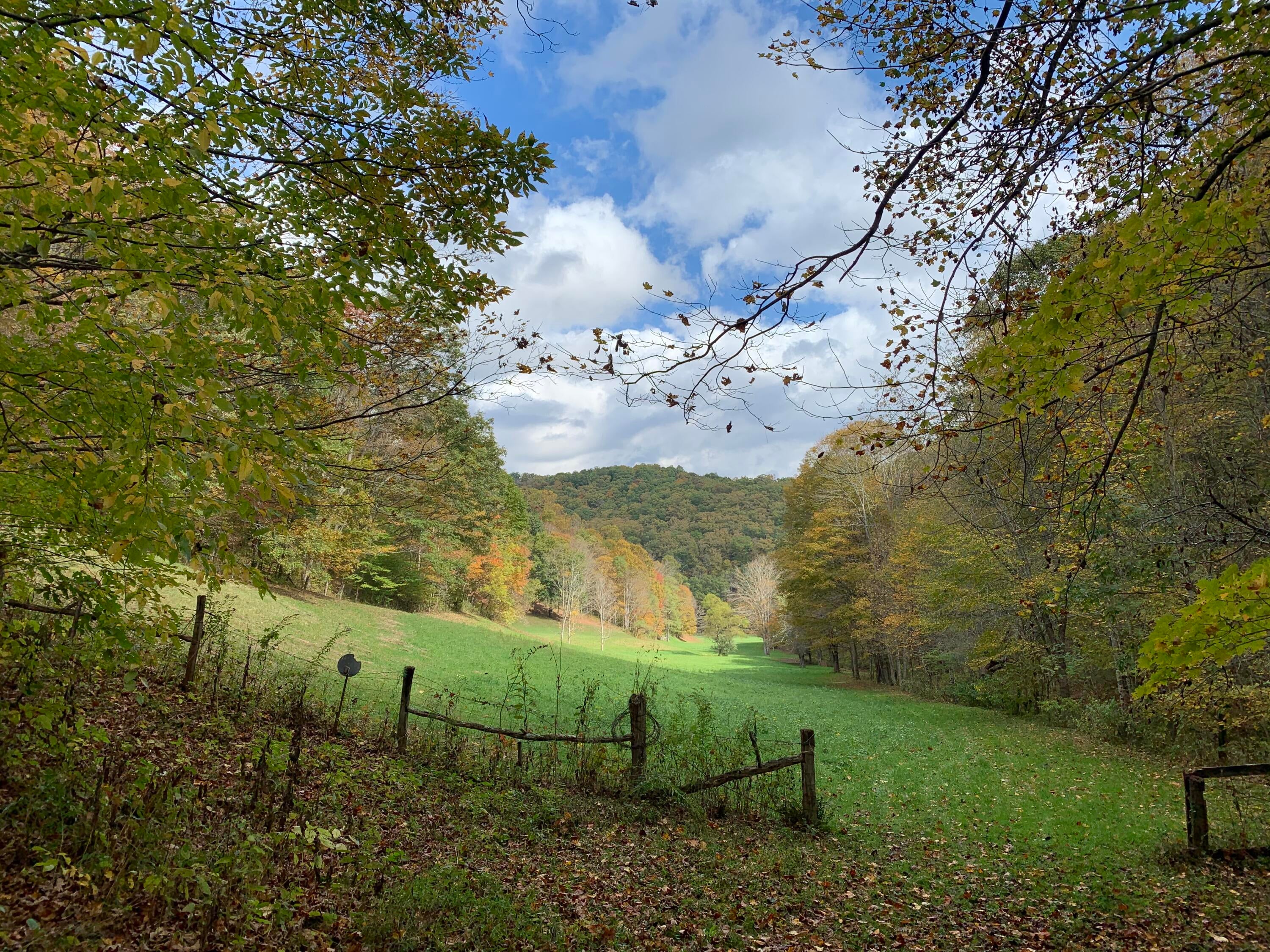 3446 Snake Run Road Alderson, WV 24910 - Photo 51 of 95 Gallery Image 51