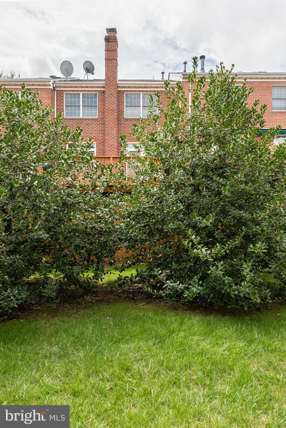 8165 Madrillon Court Vienna, VA 22182 - Photo 29 of 33 a view of a yard in front of a house