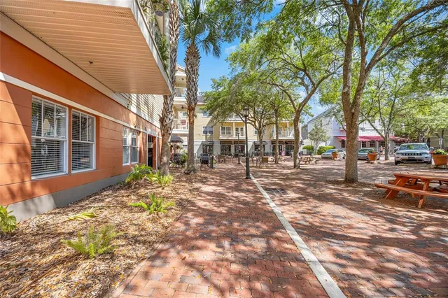 a view of road with large trees