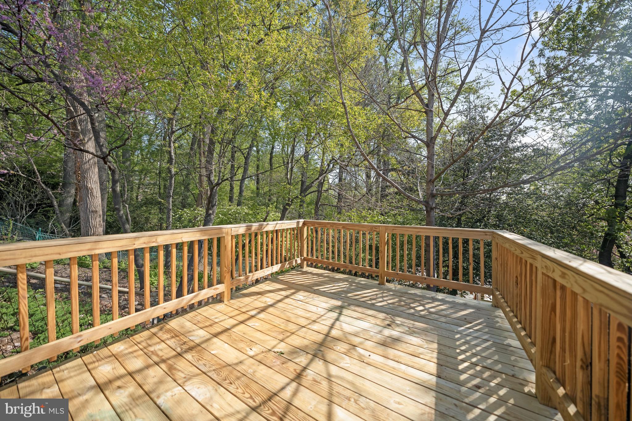 1945 39th Street Northwest Washington, DC 20007 - Photo 24 of 29 Rear deck with wooded views