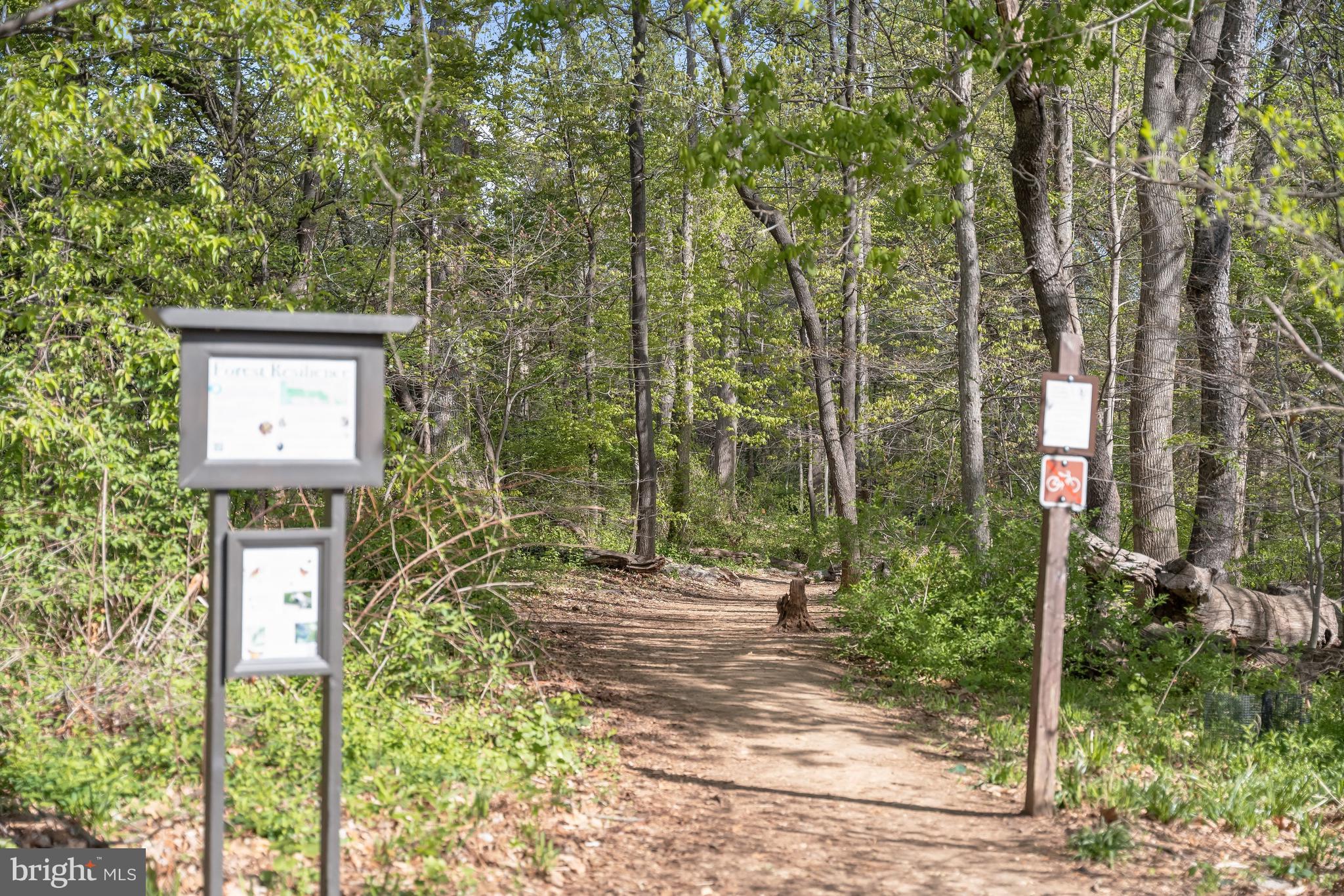 1945 39th Street Northwest Washington, DC 20007 - Photo 27 of 29 Trails into the National Park/dog-friendly open fi
