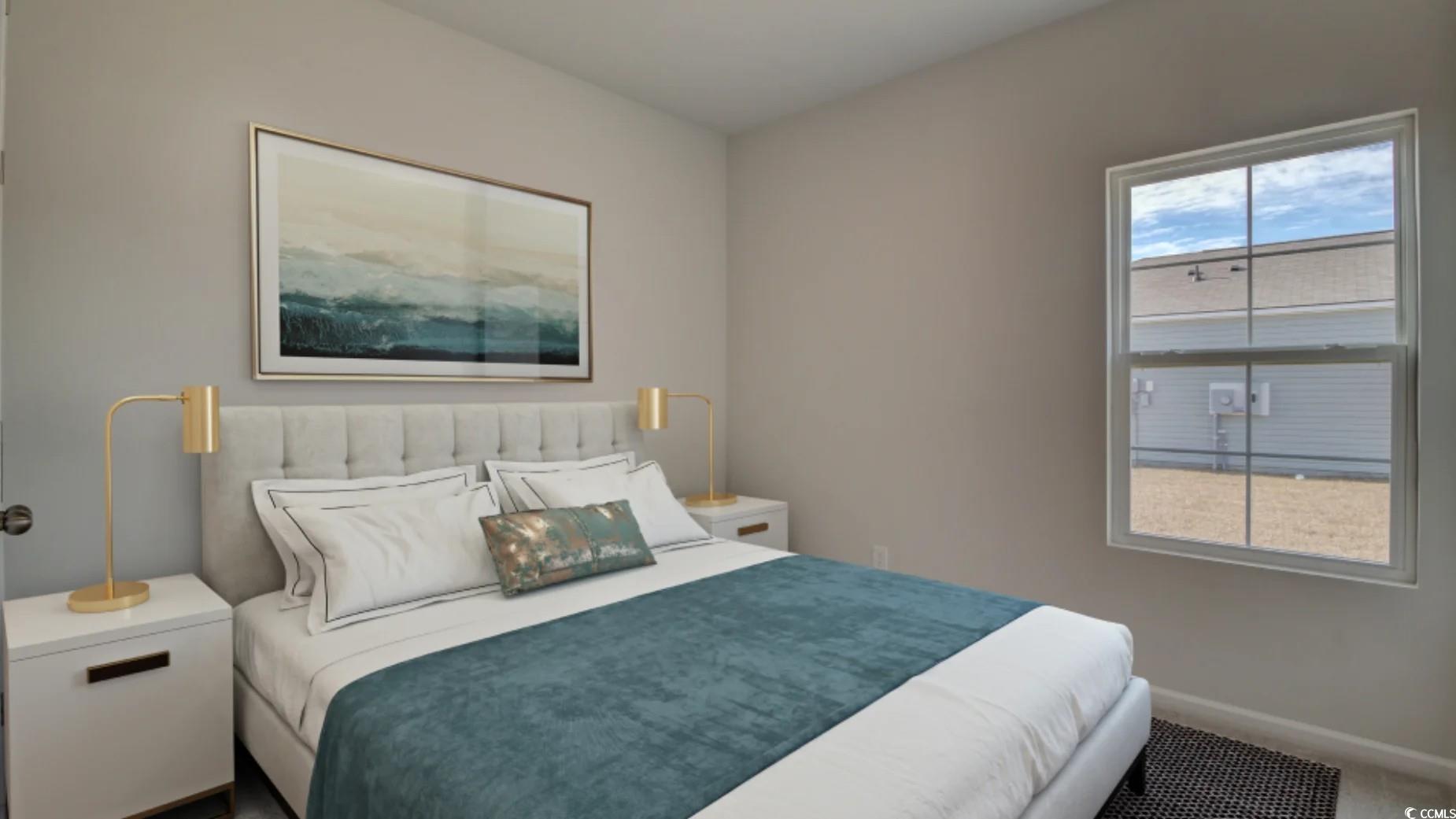 839 Western Rail Way Loris, SC 29569 - Photo 9 of 12