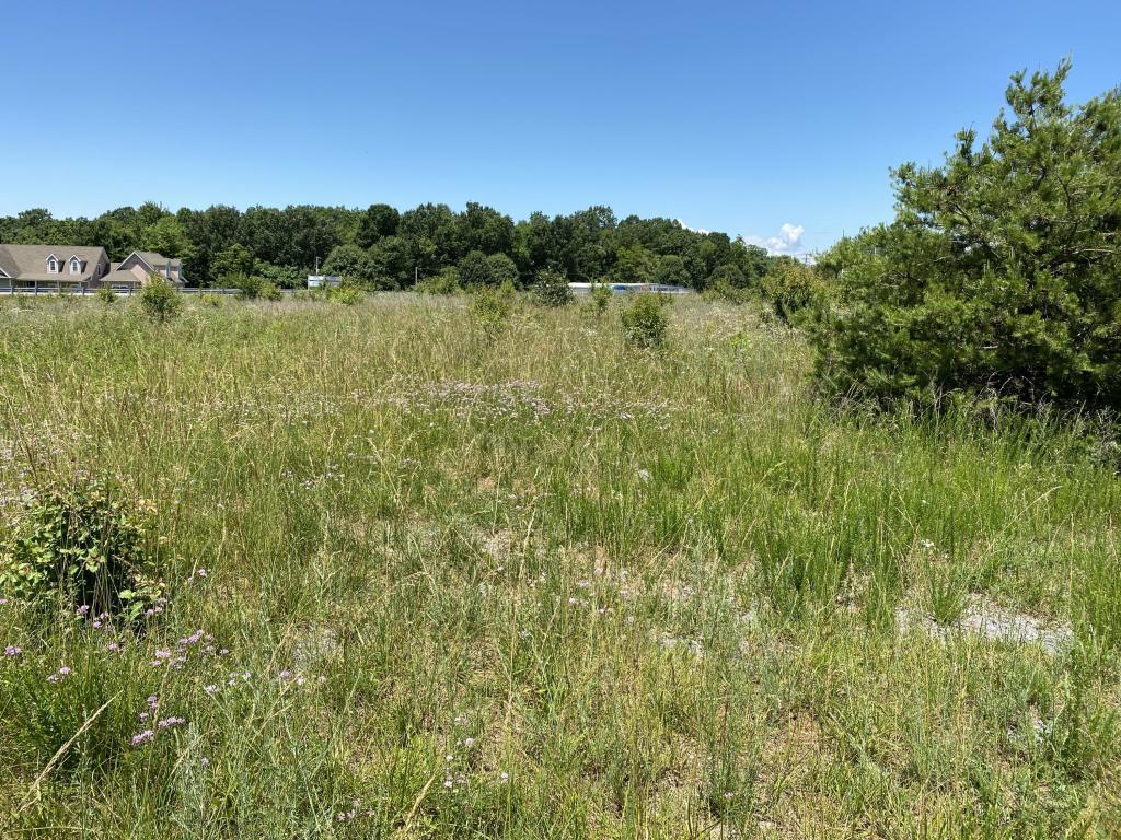 0 Rucker Road Moneta, VA 24121 - Photo 4 of 5 20200616230035168884000000-o
