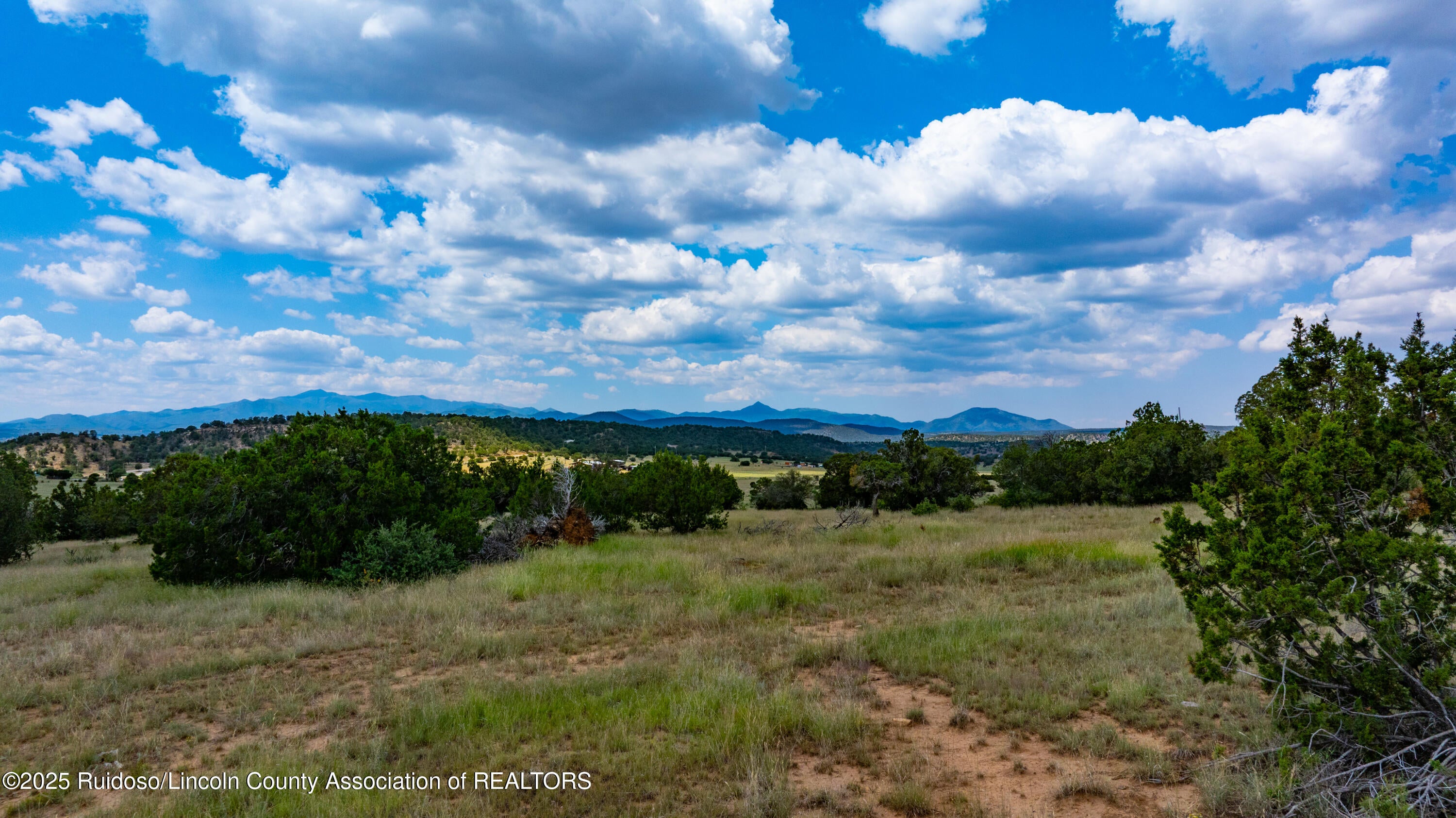 331 Pine Lodge Road Capitan, NM 88316 - Photo 150 of 156 Gallery Image 150
