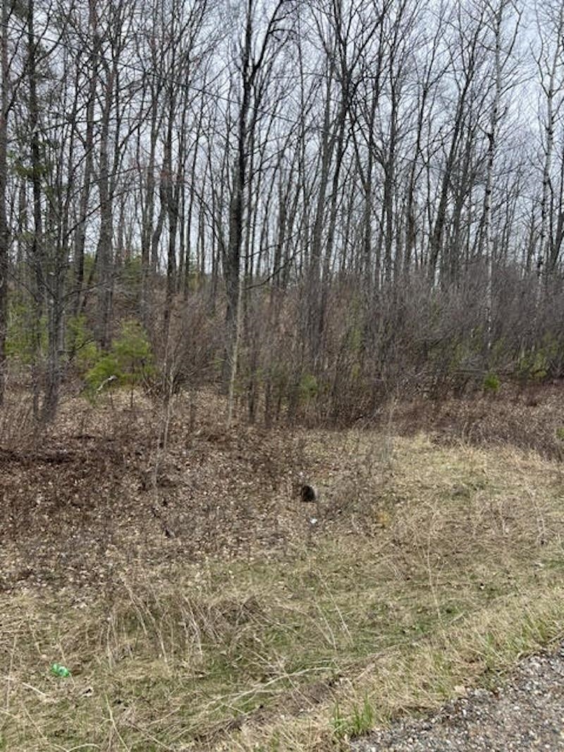 1 1 Mile Road Dunbar, WI 54119 - Photo 1 of 1 Gallery Image 1