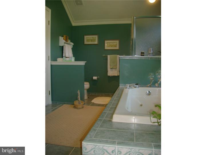 4541 Old Oak Road Doylestown, PA 18902 - Photo 14 of 22 Gallery Image 14