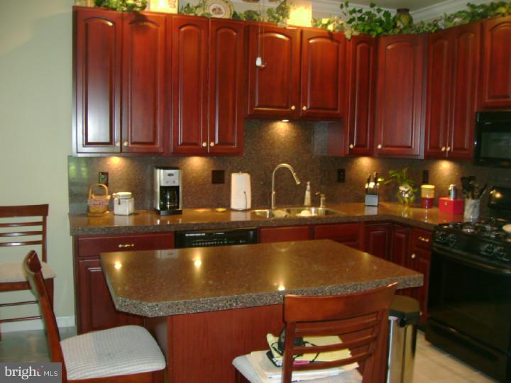 4541 Old Oak Road Doylestown, PA 18902 - Photo 4 of 22 Kitchen